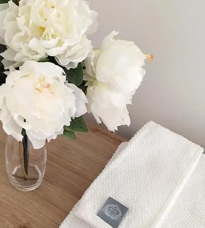 Delizioso Con Terrazzo In Centro-delicious With Terrace Апартаменты Санремо